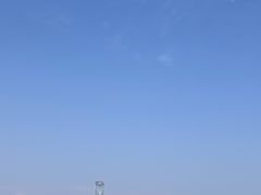-金鸡湖景区