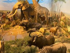 -陕西自然博物馆