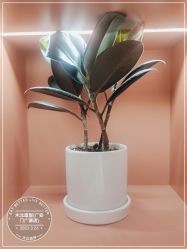 -木北造型