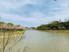 -上海海湾国家森林公园