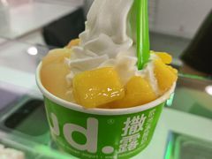 -Salud撒露欧洲冻酸奶(五道口购物中心店)