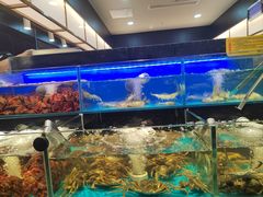 -苏格里岛自助烤肉海鲜火锅(成都金牛万达店)