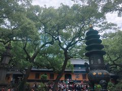 -普陀山风景名胜区-法雨禅寺