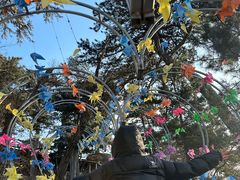 -大芦花风景区