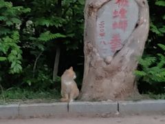 -贮水山儿童公园