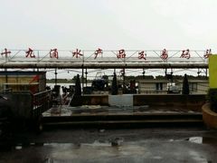 -大湾区中央湿地公园-十九涌