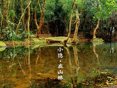 -马峦山郊野公园