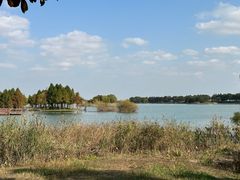 -贡湖湾湿地公园