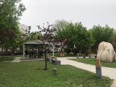 -唐城墙遗址公园