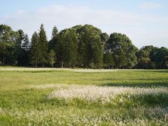 -福建鲤鱼洲酒店