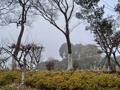 -西山漾湿地公园