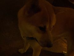 -城墙外BAR