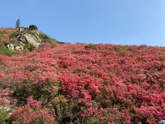 -木兰云雾山