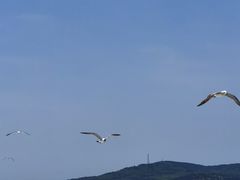 -长岛大黑山岛