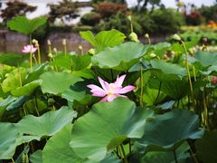 -嬉乐湾休闲旅游区