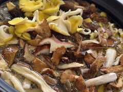 -菌之家·专业纯野生菌火锅·特色炒菌