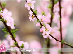 -哈尔滨师范大学(江南校区)