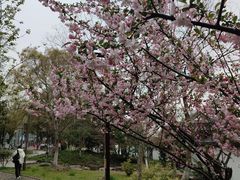 -南通濠河风景名胜区
