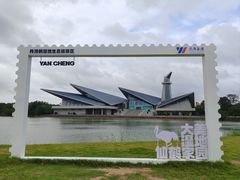 -盐城丹顶鹤湿地生态旅游区