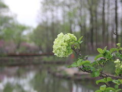 -大宁公园