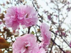 -龙美术馆(西岸馆)