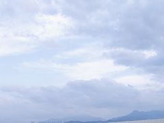 -深圳湾公园(南山区)