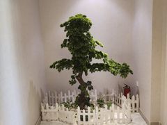 -忆江南SPA养生会馆(汉水路店)