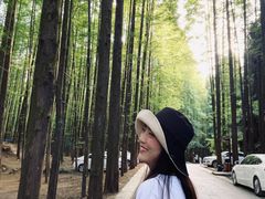 -山王坪喀斯特国家生态公园