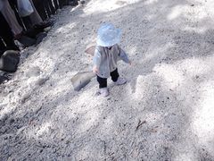 -东姑阿都拉曼海洋公园
