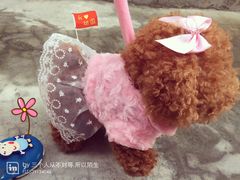 -肯德基(塔南店)