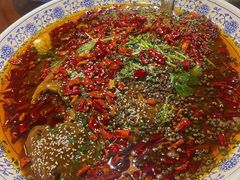 杨记招牌鱼-杨记隆府(白象街店)