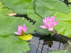 -华南国家植物园-售票处