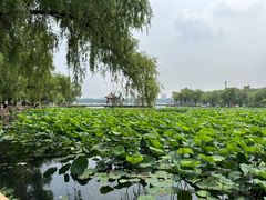 -长春市南湖公园