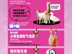 -瑞虹新天地月亮湾