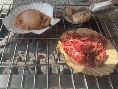 -震海贝烤贝·民俗特色店(延吉总店)