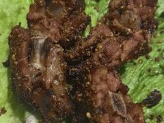 -和庆斋羊蝎子火锅·碳缸烧烤(顺义旗舰店)