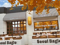 -Blue Concept Cafe&Farm·關於藍