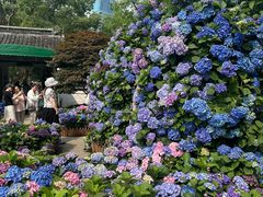 -无锡蠡湖国家湿地公园-蠡园