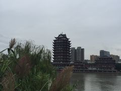 -眉山湿地公园(东坡区)