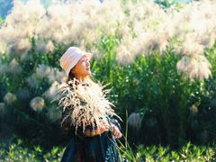 -广西壮族自治区药用植物园
