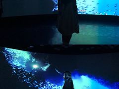 -同济大学四平路校区深海探索馆