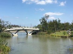 -上海长兴岛郊野公园
