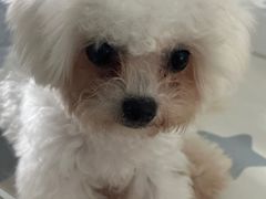 -听TA说宠咖·宠物生活馆(天韵水岸店)