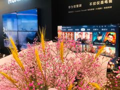 -苏宁易购(成都春熙路店)