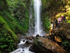 -莫里热带雨林景区