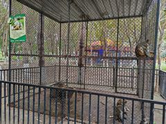 -长白岛森林公园