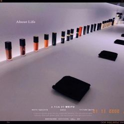 -紫御国际抗衰ZOE ANTI AGING