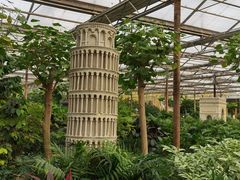 -南宫五洲植物乐园