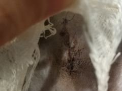 -纳吉亚猫专科动物诊疗中心(蒋宅口分院)
