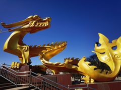 -中央广播电视塔